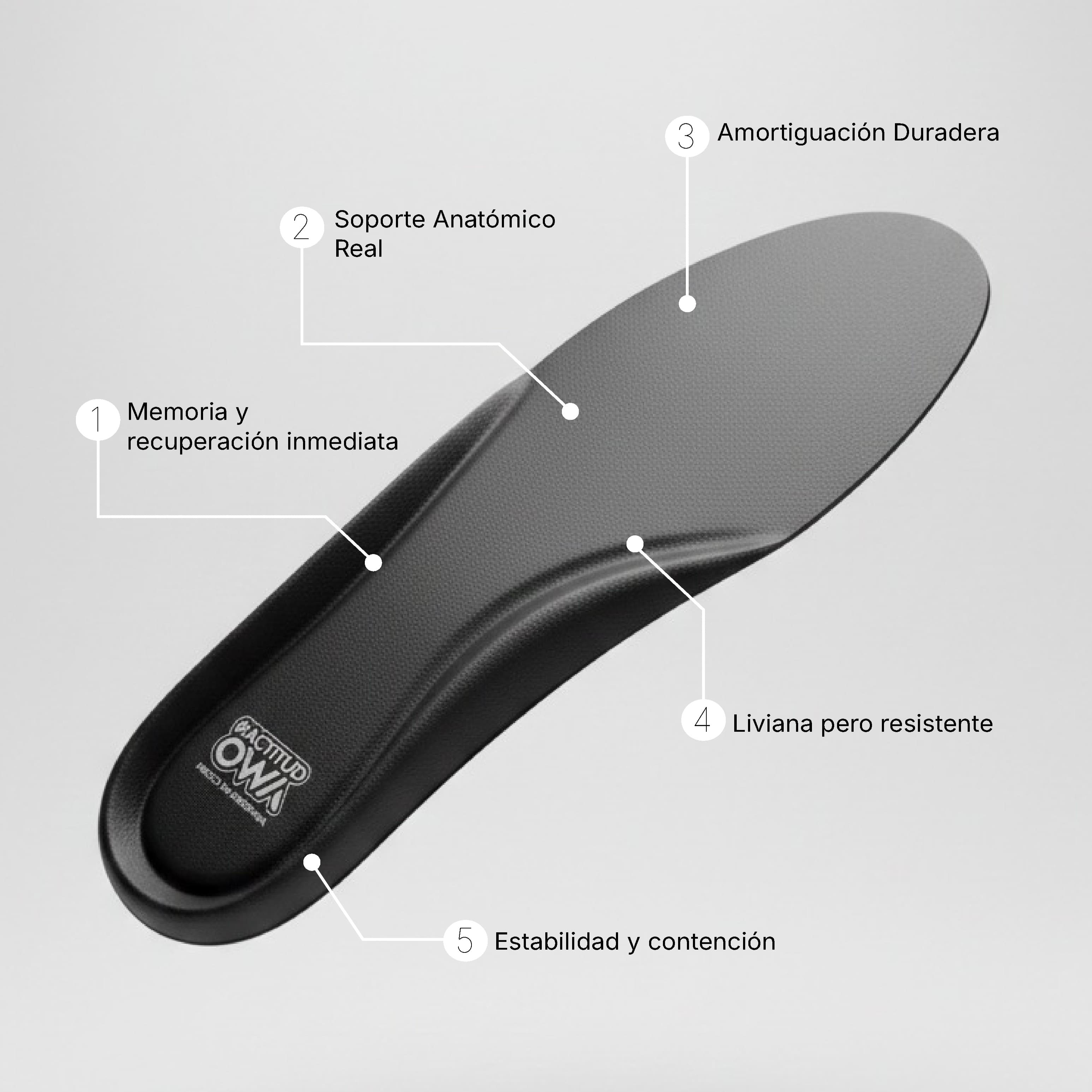 Plantilla OWA termoformada